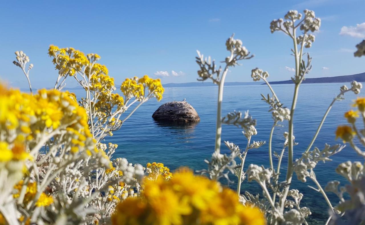 Villa Skalinada With Sea View Brela Exteriér fotografie